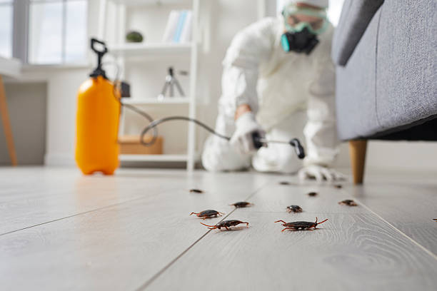 Trusted Termite Control service in Gautier, MS - Nex Pest Control