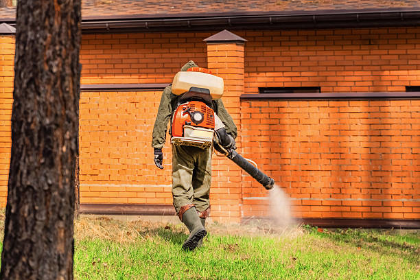 Trusted Cockroach Control service in Gautier, MS - Nex Pest Control